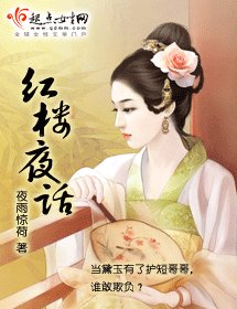（紅樓同人）紅樓夜話
