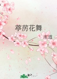 葶苈花舞